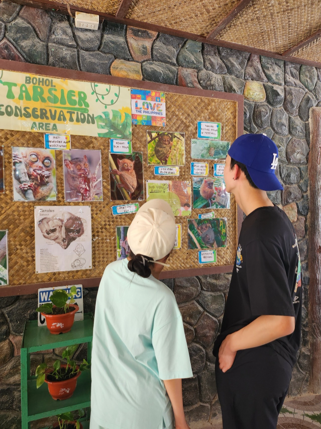 [보홀] 보홀 3박5일 행복했어요!! (with엠마)