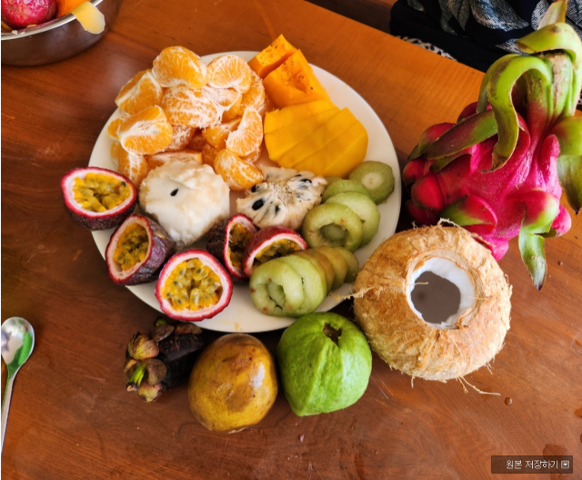 [나트랑] 나트랑에서 먹는 열대과일