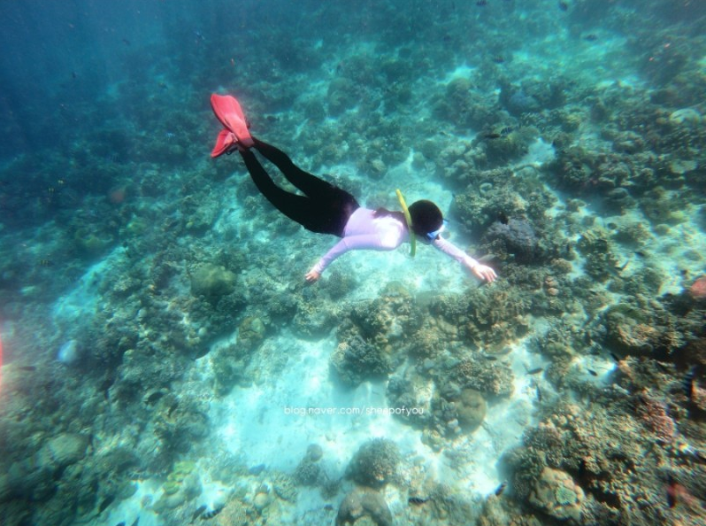 [세부] 채플린 가이드님과 함께한 즐거웠던 세부 가족여행 후기!