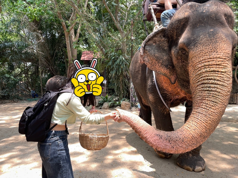 [방콕] ????안나???? 가이드님과 함께한 방콕/ 파타야 후기!!