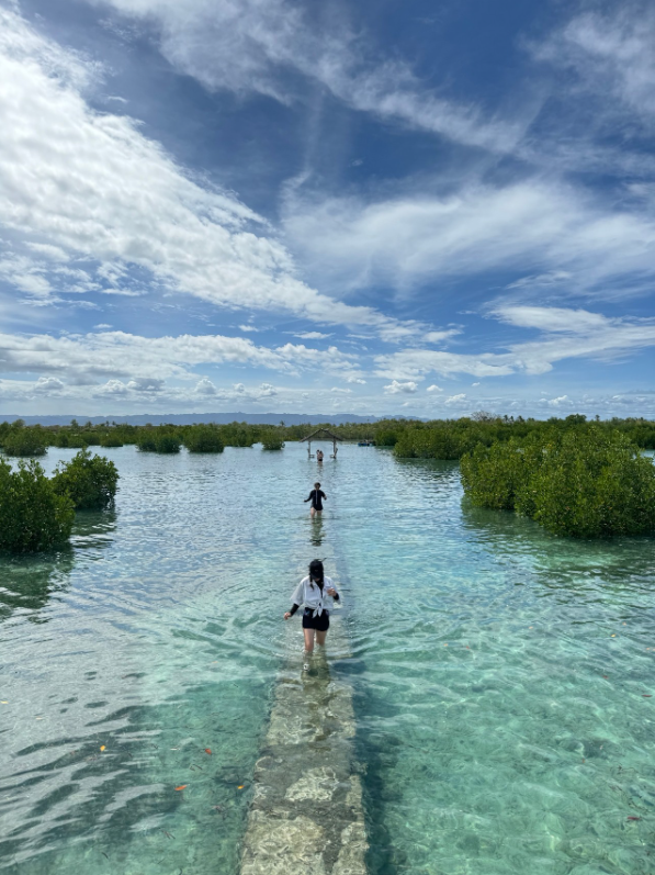 [세부] 행복했던 세부에서의 3박 5일(With 채플린 가이드님, 베티가이드님)