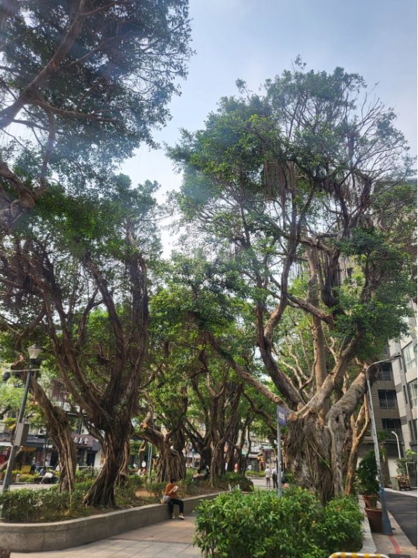 [대만] 마리오 가이드님과 함께한 4/3 - 4/6 3박4일 대만 타이베이 여행후기