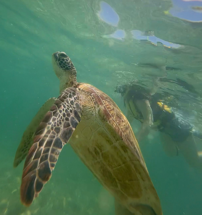 [세부] 친구들과 첫 해외 우정여행(세부)