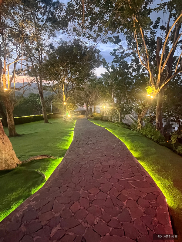 [세부] 제니가이드님)단독투어최고의세부여행