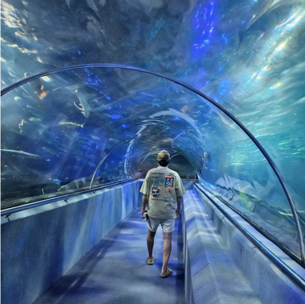 [나트랑] 용가이드와 함께한 나트랑 후기♡♡