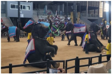 [방콕] ★ 기다렸다! 이런 여행- 여행하는 순간, 후기를 쓰게 만드는 가이드맨 방콕 (유이가이드님과 함께)