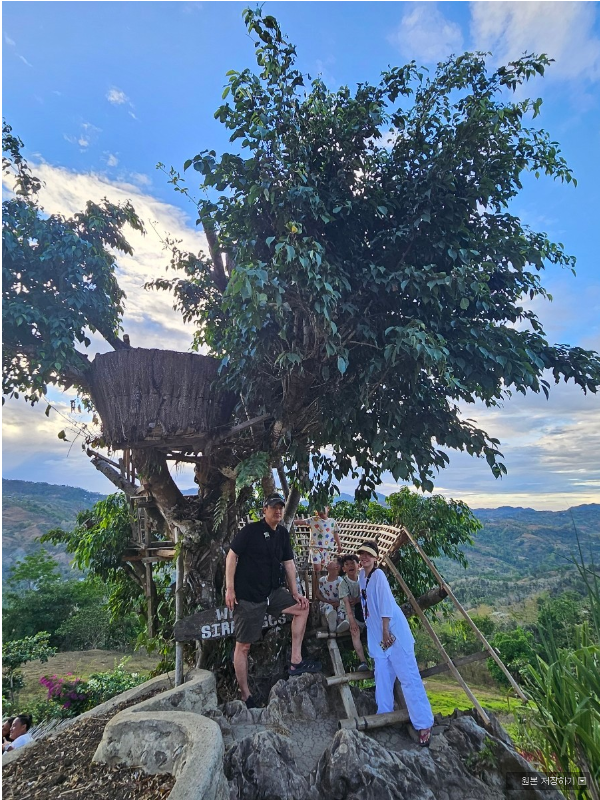 [세부] 6박7일 세부여행~