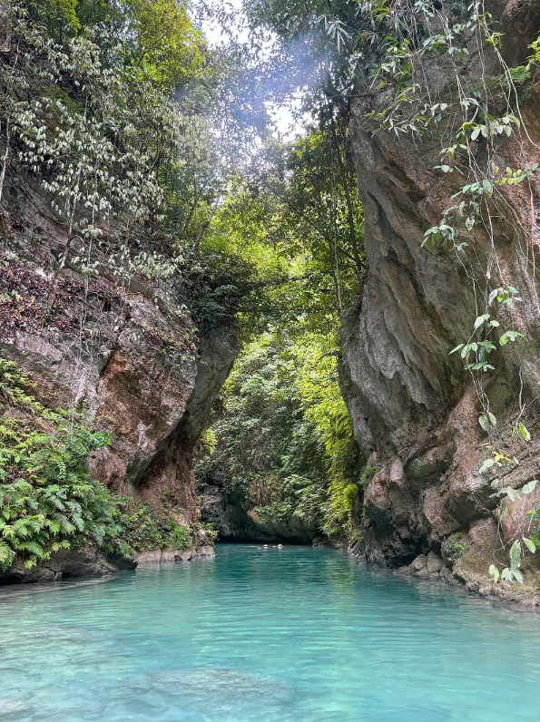 [세부] 헨리가이드님과 2일간 세부여행