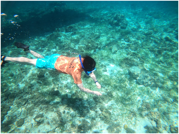 [세부] 즐거웠던 세부여행 조각모음!(제이크 가이드님)