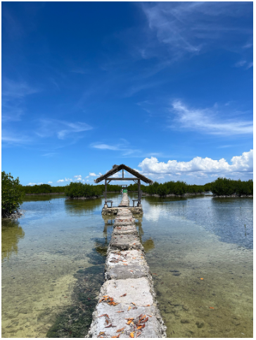 [세부] 베티 Betty 가이드님과 행복했던 세부 여행 후기입니다 ❁´◡`❁ (호핑팩, 시티팩 투어)