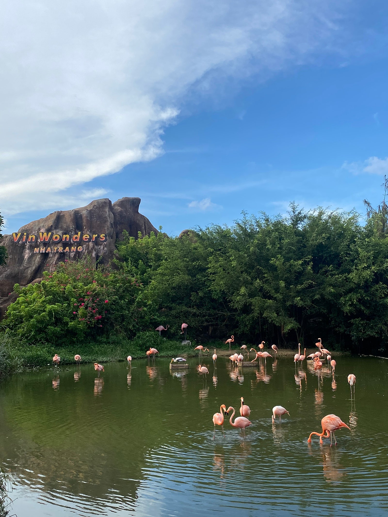 [나트랑] [여행후기] 친절한 보타녹과 함께한 나트랑 여행