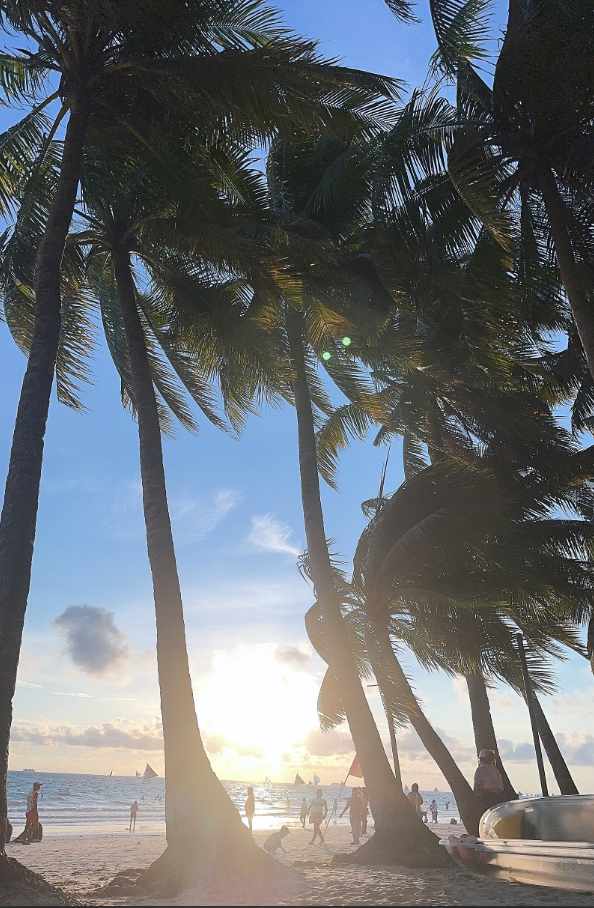 [세부] 즐거운 보라카이 캐시.라이언과 함께