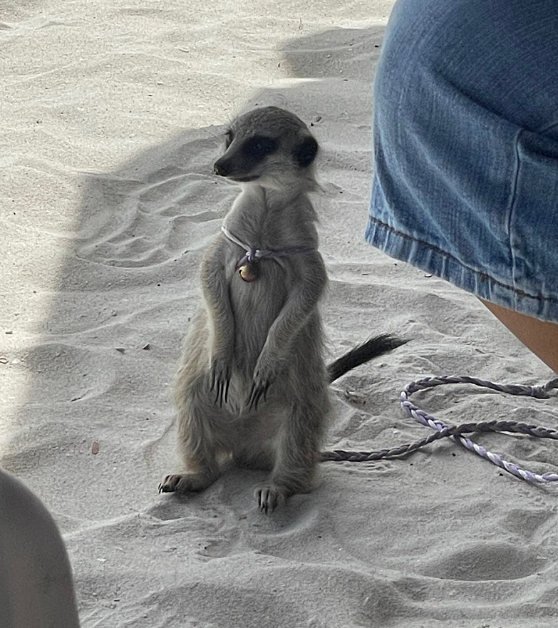 [방콕] 유이가이드 짱~♡♡