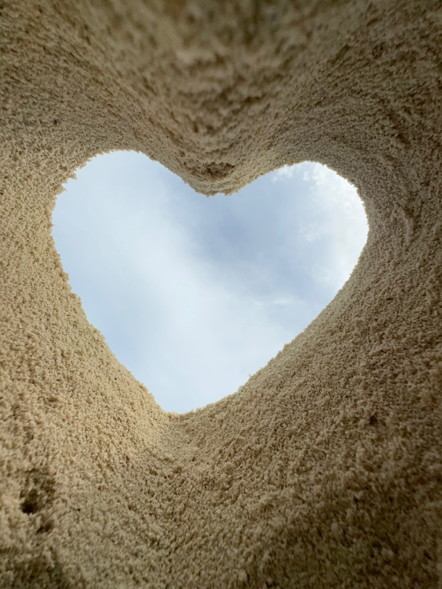 [보홀] 즐거운 보홀 여행 이였습니다.