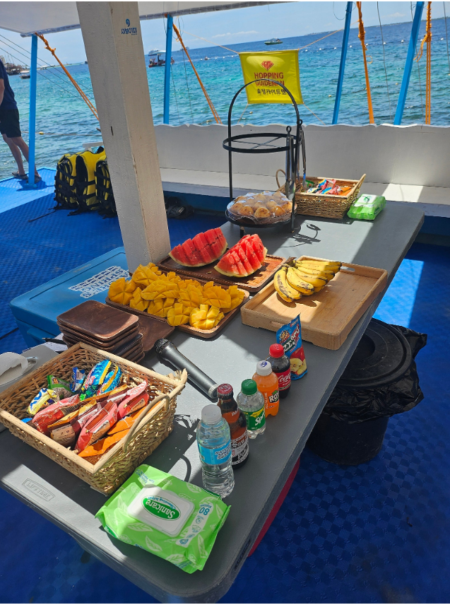 [세부] 세부여행/1일차/조인호핑후기/크리스, 알젠 가이드님 감동/너무 재밌었어요