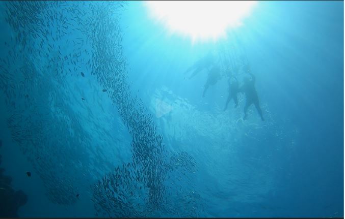 [세부] 행복한 추억 가득한 가족 여행이었습니다. 5월 4주 ( 파티마/ 류 가이드님 짱 !!이에요)