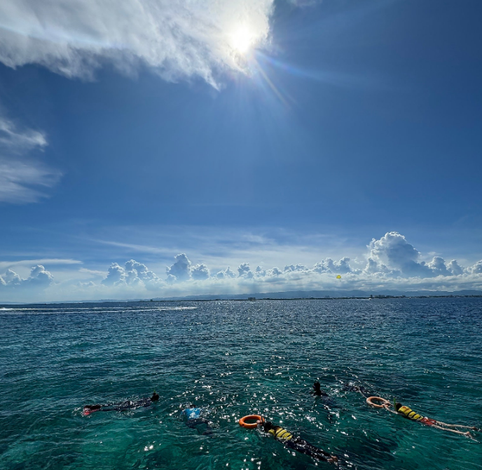 [세부] 행복했던 세부여행후기( with.채플린님????)