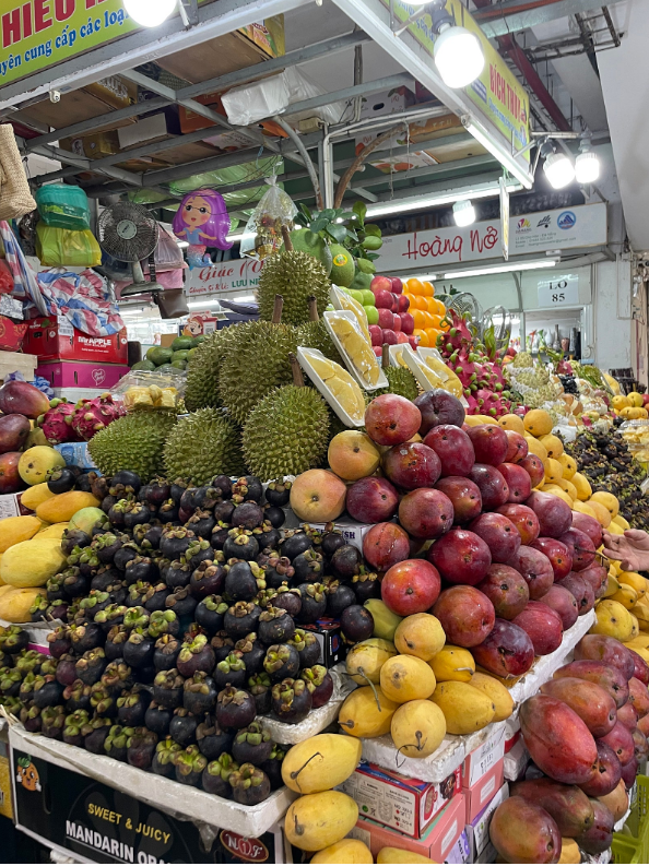 [다낭] 호이안팩 여행후기(현재 여행중)