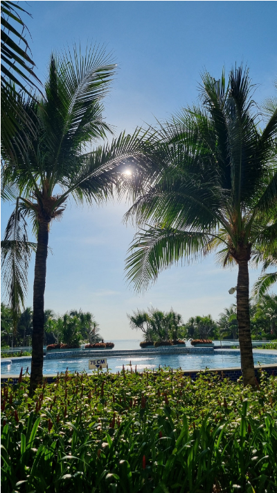 [나트랑] 6.11~6.14나트랑 여행후기(feat.보탄녹가이드님)