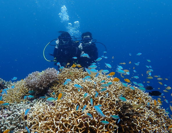 [보홀] Tj가이드님과 함께한 보홀 여행!