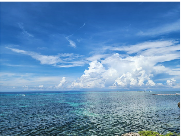 [보홀] 조금 늦은 후기 [자레드]님 너무 감사합니다!!!