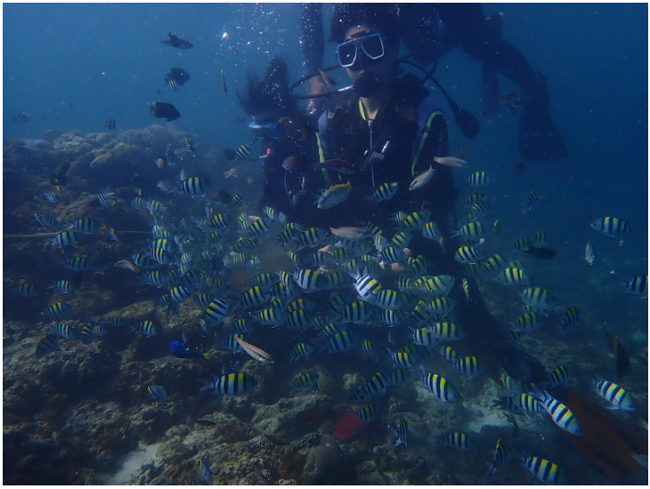 [세부] 채플린님과 함께 했던 두근두근 첫 해외여행✈️