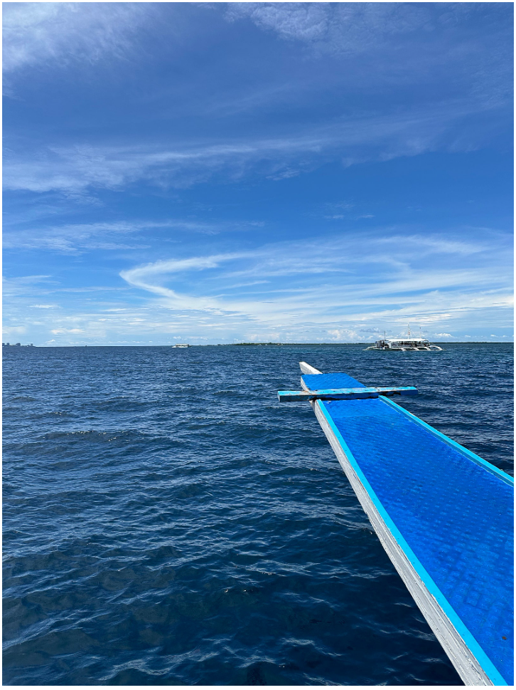 [세부] 최고의 호핑투어