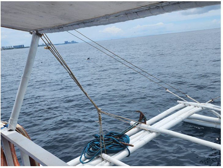 [세부] 3박5일 여행 잘마치고 돌아왓습니다(샤빌가이드님)