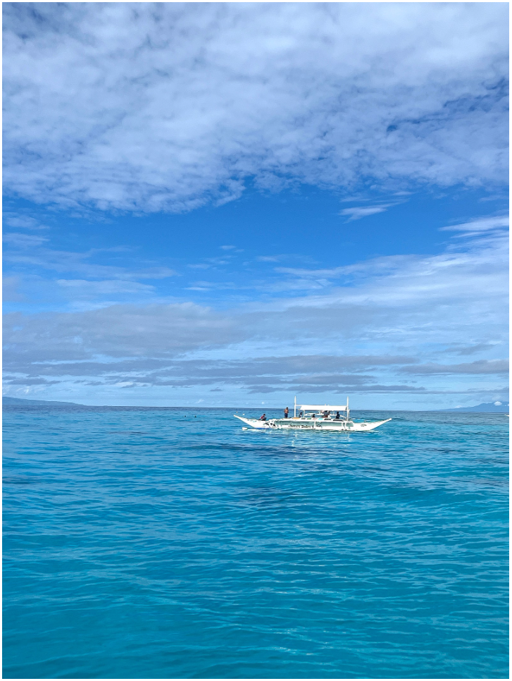 [보홀] 생각보다 훨~씬 알차고 즐거웠던 보홀 워크샵 [자레드 가이드님⭐]