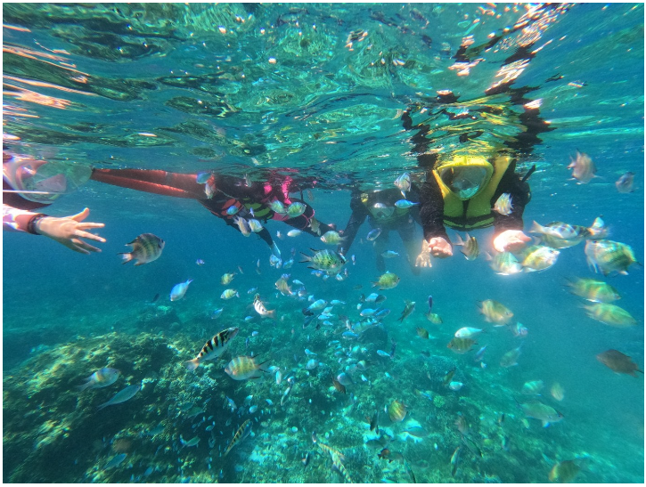 [보홀] 너무 행복했던 보홀여행(TJ가이드님)