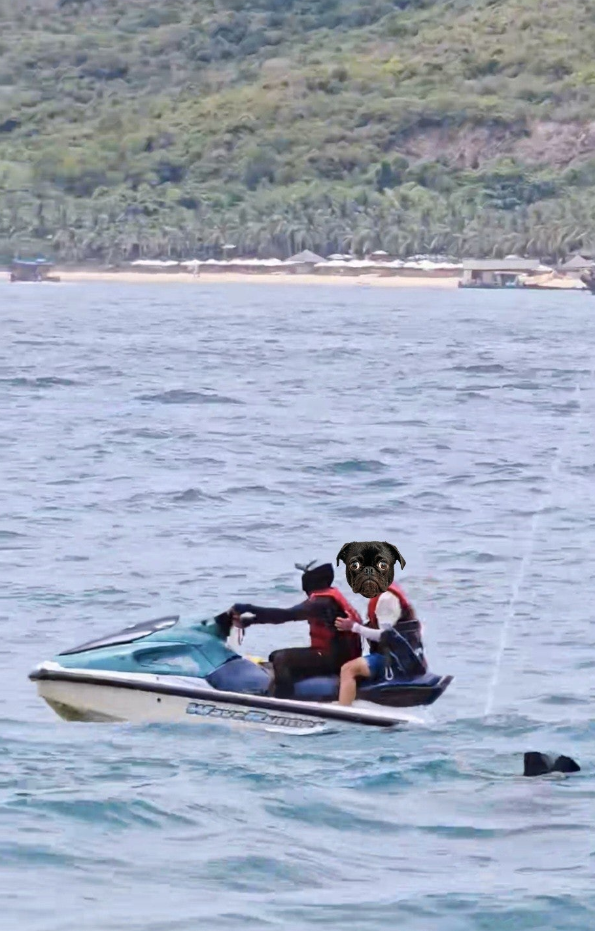 [나트랑] 나트랑 호핑투어!!