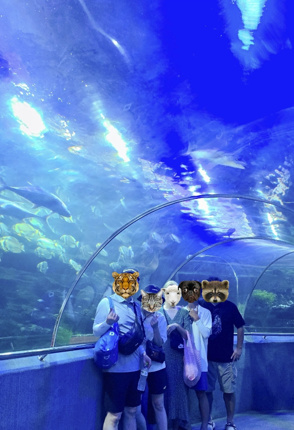 [나트랑] 나트랑 빈원더스????가이드맨 단독투어 너무 좋다!!