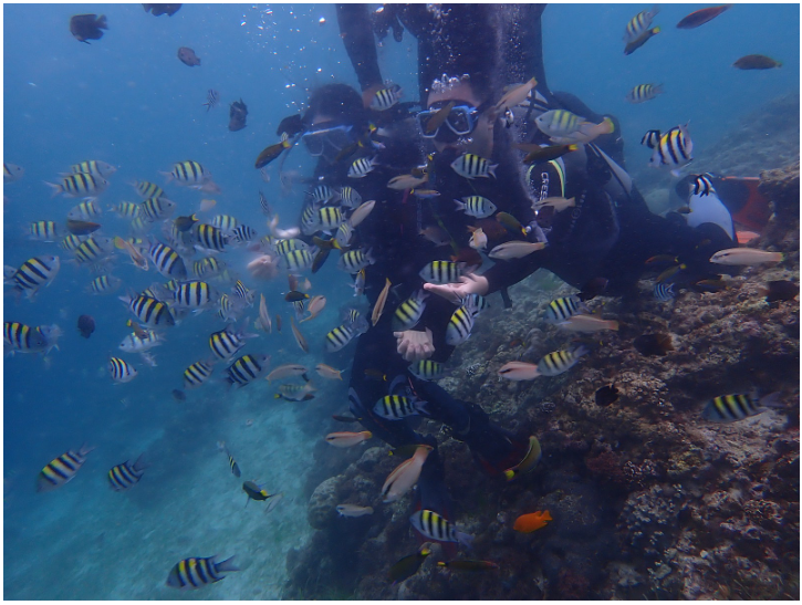 [세부] 세부여행 후기(로이가이드님)