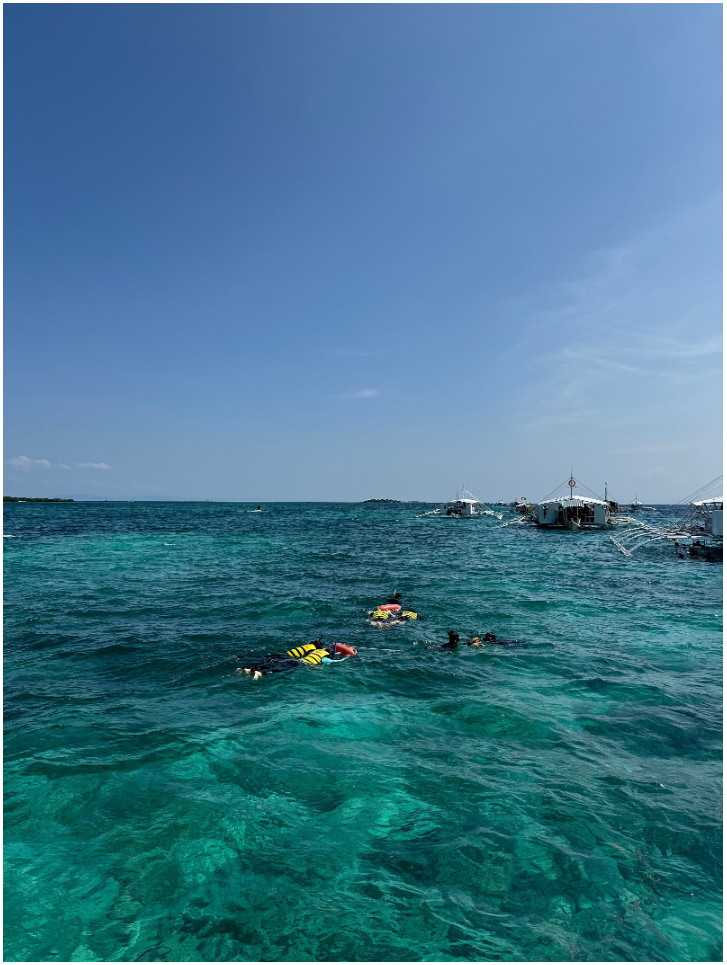 [세부] 채플린 가이드님과 함께한 세부 여행