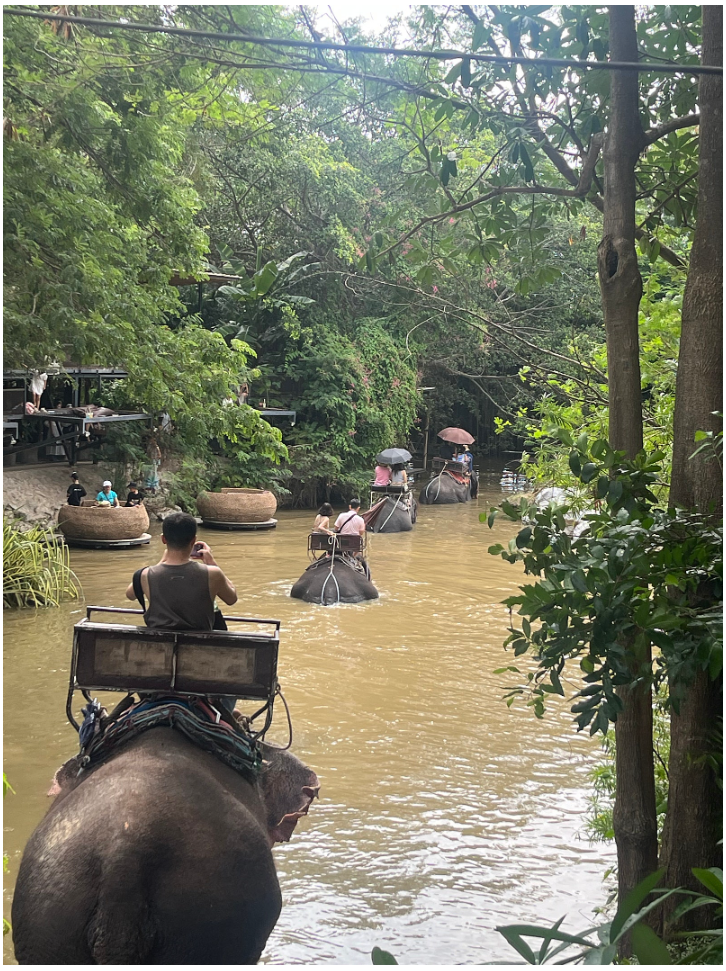 [방콕] 앤 가이드님과 함께한 7/26~7/30 방콕여행 후기