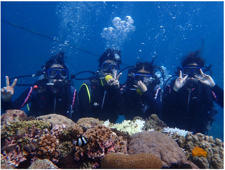 [세부] 채플린님과 함께한 세부여행 후기
