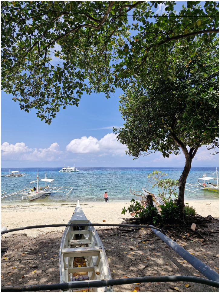 [보홀] TJ 가이드님과 함께한 환상적인 보홀 여행