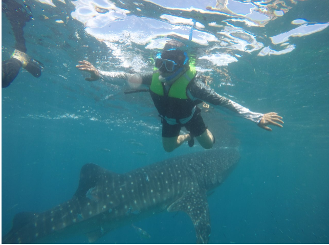 [보홀] 보홀 여행 kc님 감사합니다.