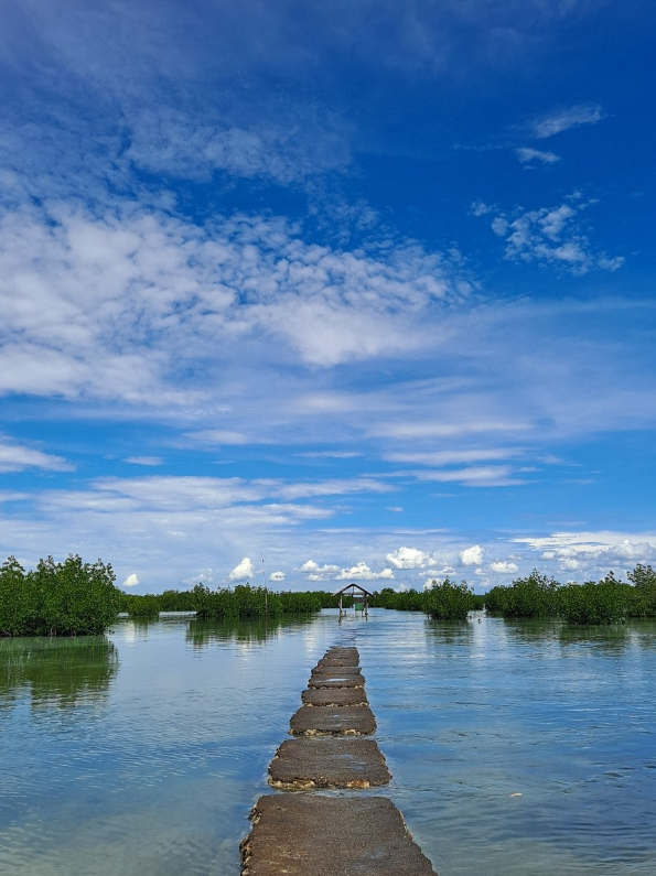 [세부] 친구들과 함께한 세부여행(with 제니 가이드님)