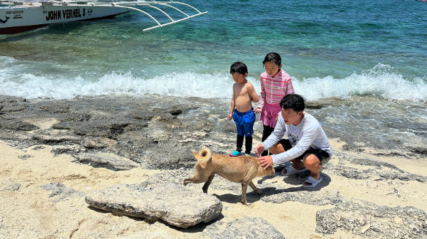 [보홀] 보홀 가족여행