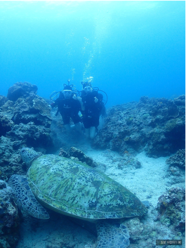 [보라카이] 쥬디님 보용가이드함께한 행복한 보라카이
