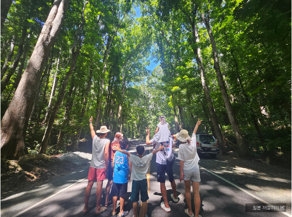 [보홀] 보홀여행은 엠마이모가 최고!