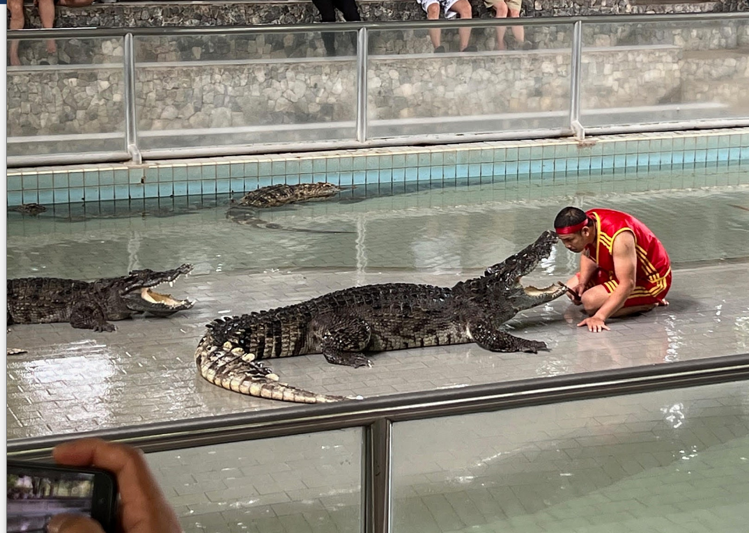 [방콕] 'Apple' 가이드님과 함께한 잊을 수 없는 방콕+파타야 3박 5일의 행복 여행