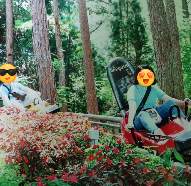 [나트랑] 달랏 다딴라 폭포