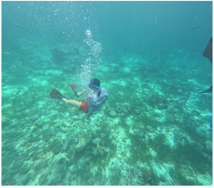 [세부] Nadia 나디아 가이드님 과 함께한 세부 워크샵 후기!!