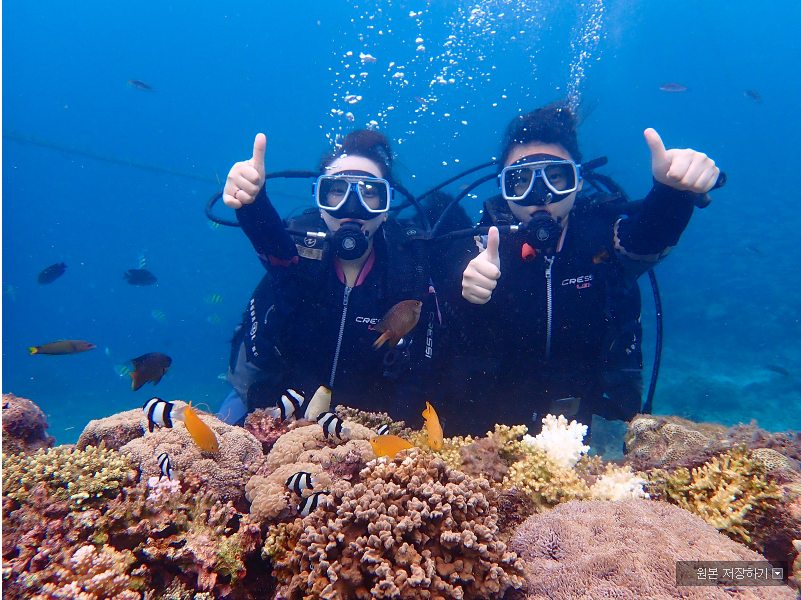 [세부] 헤라 님!!!!!! 후기 쓰러 왔어요!!!!!!!!