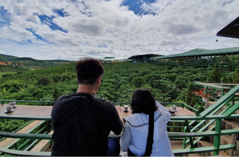 [나트랑] VN 달랏 메린 커피농장