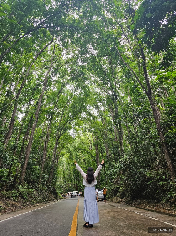 [보홀] 8/28~9/1 보홀여행 with Aiden가이드님