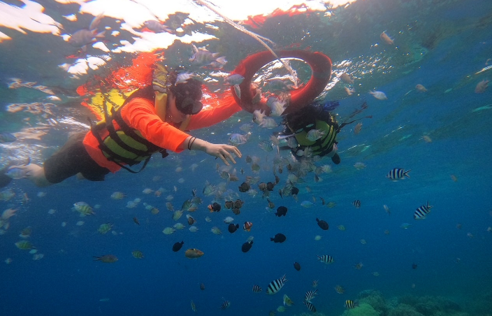 [보홀] 자레드 가이드님과 함께한 행복했던 3박 5일 보홀 여행 후기!