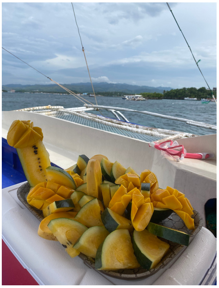 [보라카이] 라이얀 가이드 최고라고 말하는 후기